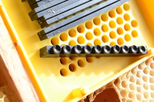 4 Kemp bloc de ponte face arrière_DSC_9880